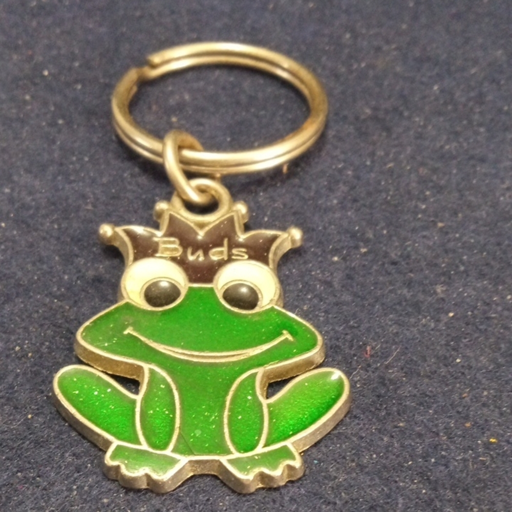 Green Frog Key Holder